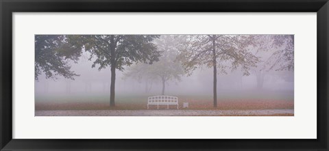 Framed Trees and Bench in Fog Schleissheim Germany Print