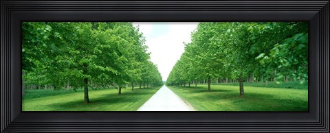 Framed Avenue at Chateau de Modave Ardennes Belgium Print