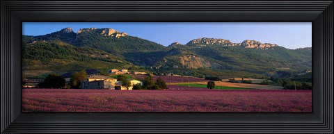 Framed Lavender Fields And Farms, High Provence, La Drome, France Print