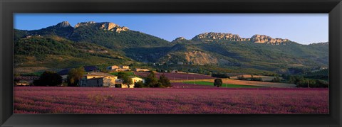 Framed Lavender Fields And Farms, High Provence, La Drome, France Print