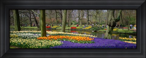 Framed Keukenhof Garden Lisse The Netherlands Print