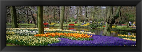 Framed Keukenhof Garden Lisse The Netherlands Print