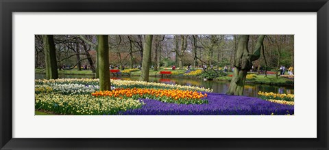 Framed Keukenhof Garden Lisse The Netherlands Print