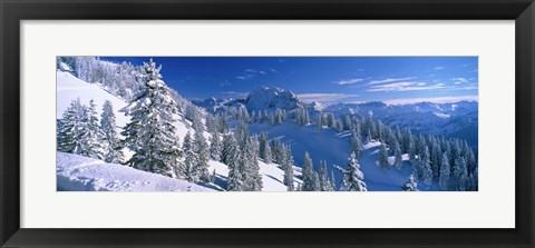 Framed Alpine Scene, Bavaria, Germany Print