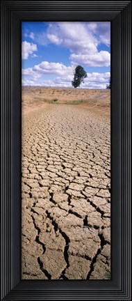 Framed Drought, Australia Print