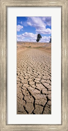 Framed Drought, Australia Print
