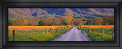 Framed Road At Sundown, Cades Cove, Great Smoky Mountains National Park, Tennessee, USA Print