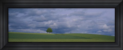 Framed Storm clouds over a field, Zurich Canton, Switzerland Print