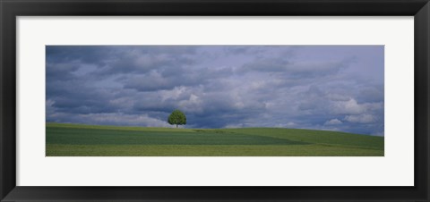 Framed Storm clouds over a field, Zurich Canton, Switzerland Print