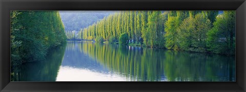 Framed Poplar Trees On River Aare, Near Canton Aargau, Switzerland Print