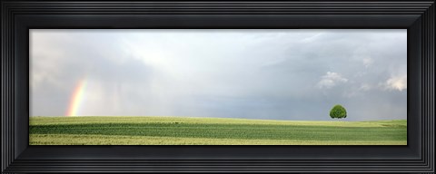 Framed Rainbow and storm clouds over a field, Zurich Canton, Switzerland Print