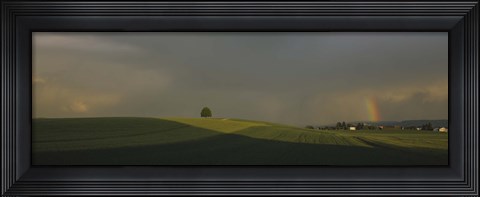 Framed Storm clouds over a field, Canton Of Zurich, Switzerland Print