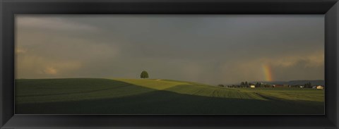 Framed Storm clouds over a field, Canton Of Zurich, Switzerland Print