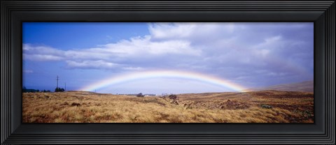 Framed Field, Rainbow, Hawaii, USA Print