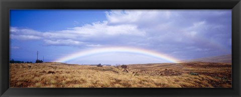 Framed Field, Rainbow, Hawaii, USA Print