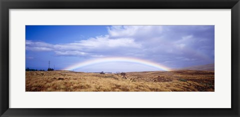 Framed Field, Rainbow, Hawaii, USA Print