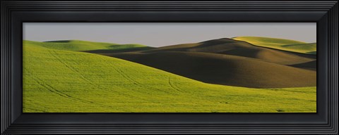 Framed Wheat Field On A Landscape, Whitman County, Washington State, USA Print