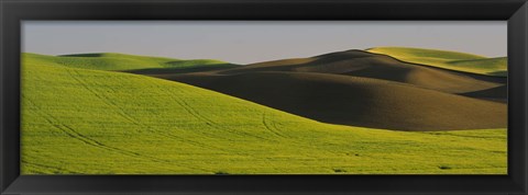 Framed Wheat Field On A Landscape, Whitman County, Washington State, USA Print