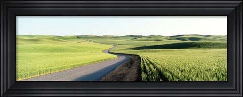 Framed Gravel Road Through Barley and Wheat Fields WA Print
