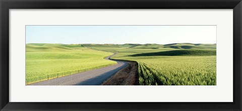 Framed Gravel Road Through Barley and Wheat Fields WA Print
