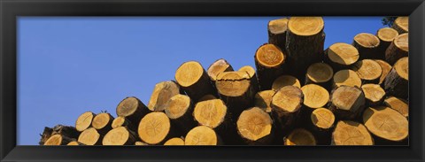Framed Stack of wooden logs in a timber industry, Austria Print