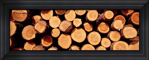 Framed Logs Print