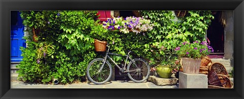 Framed Bicycle In Front Of Wall Covered With Plants And Flowers, Rochefort En Terre, France Print