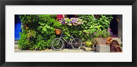 Framed Bicycle In Front Of Wall Covered With Plants And Flowers, Rochefort En Terre, France Print