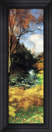 Framed View Of The Valley, Borrowdale, Keswick, Great Britain, United Kingdom Print