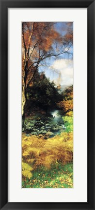 Framed View Of The Valley, Borrowdale, Keswick, Great Britain, United Kingdom Print