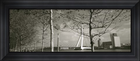 Framed Bridge Over A River, Erasmus Bridge, Rotterdam, Netherlands Print