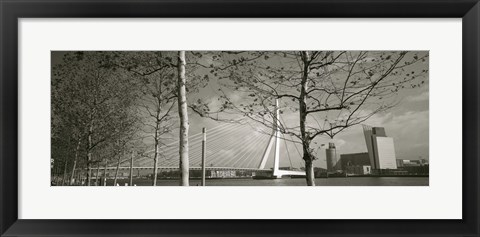 Framed Bridge Over A River, Erasmus Bridge, Rotterdam, Netherlands Print