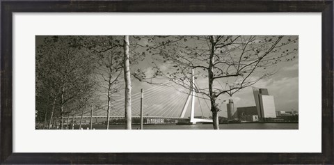 Framed Bridge Over A River, Erasmus Bridge, Rotterdam, Netherlands Print