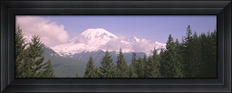 Framed Mt Ranier Mt Ranier National Park WA Print