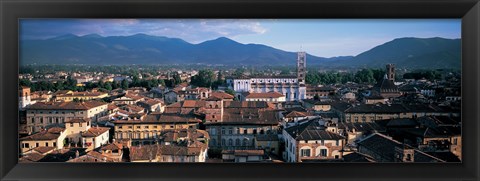 Framed Italy, Tuscany, Lucca Print