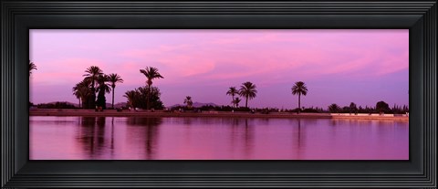 Framed Palm trees, Menara, Marrakech, Morocco Print