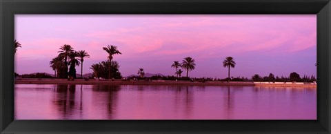 Framed Palm trees, Menara, Marrakech, Morocco Print