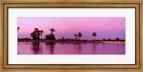 Framed Palm trees, Menara, Marrakech, Morocco Print