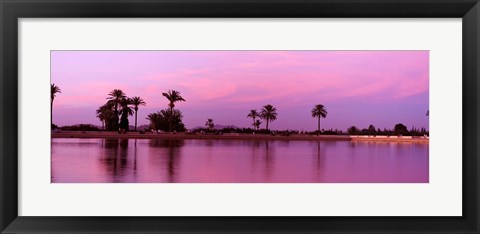 Framed Palm trees, Menara, Marrakech, Morocco Print