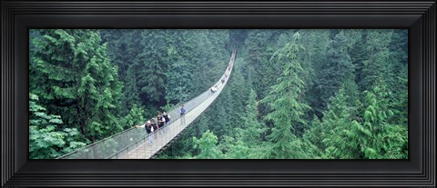 Framed Capilano Bridge, Suspended Walk, Vancouver, British Columbia, Canada Print