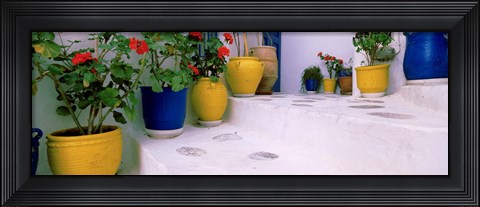 Framed Potted plants on steps, Mykonos, Cyclades Islands, Greece Print