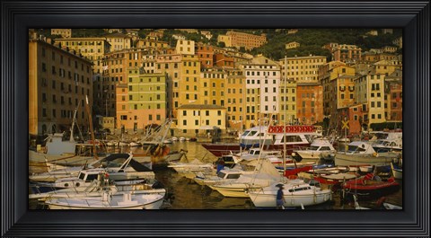 Framed Boats at the harbor, Camogli, Liguria, Italy Print