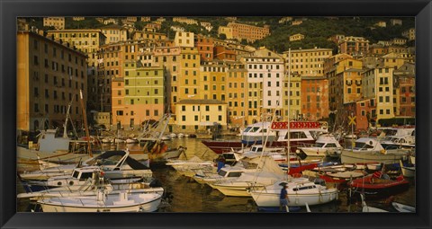 Framed Boats at the harbor, Camogli, Liguria, Italy Print