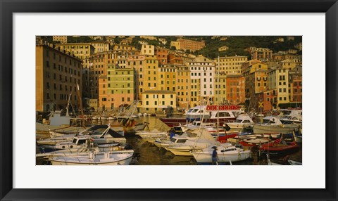 Framed Boats at the harbor, Camogli, Liguria, Italy Print