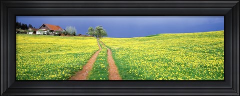 Framed Dirt road passing through a field, Germany Print