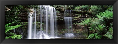 Framed Waterfall in a forest, Russell Falls, Mt Field National Park, Tasmania, Australia Print