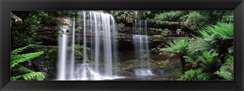 Framed Waterfall in a forest, Russell Falls, Mt Field National Park, Tasmania, Australia Print