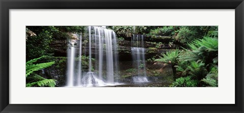 Framed Waterfall in a forest, Russell Falls, Mt Field National Park, Tasmania, Australia Print