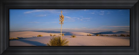 Framed Shrubs in the desert, White Sands National Monument, New Mexico, USA Print