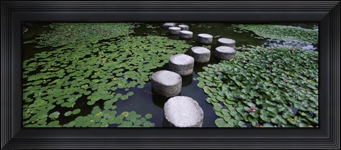 Framed Water Lilies In A Pond, Helan Shrine, Kyoto, Japan Print
